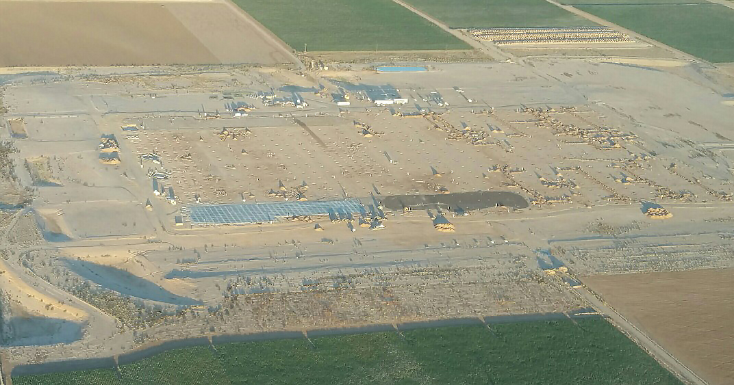 PhoenixMart construction aerial image